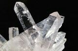 Attractive Amethyst Crystal Cluster - Las Vigas, Mexico #354997-1